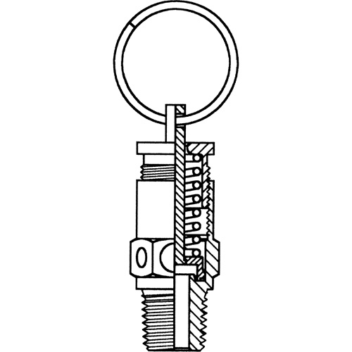 Soupapes de s&eacute;curit&eacute; Helyx Safety & Industrial Supplies