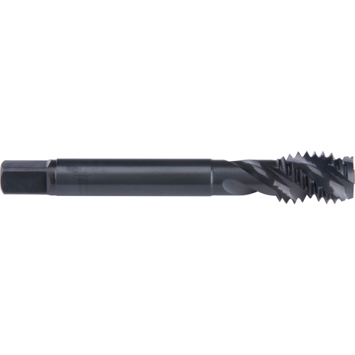 Taraud &agrave; cannelure en spirale 45°, Acier rapide au cobalt, Filet de 7/8"-9, 4-11/16" l Helyx Safety & Industrial Supplies