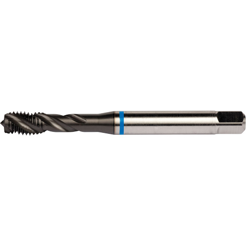 Taraud &agrave; cannelures h&eacute;licoidales Blue Shark, Acier rapide au cobalt, Filet de 1/4"-28, 3,15" l Helyx Safety & Industrial Supplies