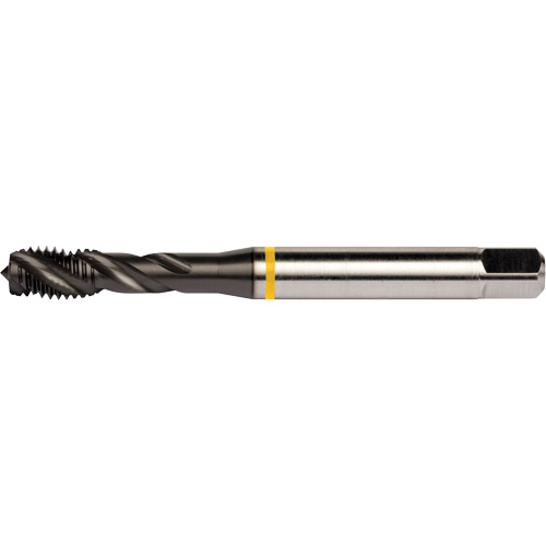 Taraud &agrave; goujures h&eacute;licoidales Yellow Shark, Acier rapide au cobalt, Filet de 1/4"-20, 3,15" l Helyx Safety & Industrial Supplies
