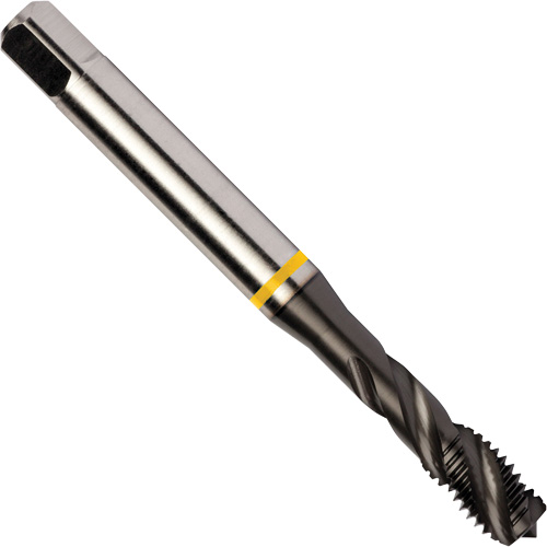 Taraud &agrave; goujures h&eacute;licoidales Yellow Shark, Acier rapide au cobalt, Filet de 1/4"-20, 3,15" l Helyx Safety & Industrial Supplies