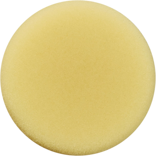 Polishing Pad, 3" Dia. Helyx Safety & Industrial Supplies