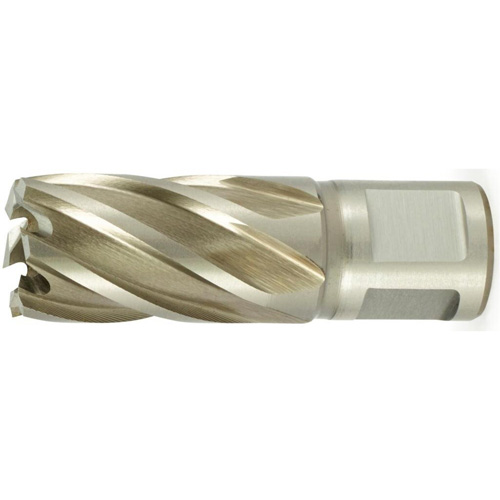 CLE-LINE 4500 Short Annular Cutter, 7/8" Diameter, High Speed Steel, 1" Depth of Cut, 3/4" Shank Helyx Safety & Industrial Supplies