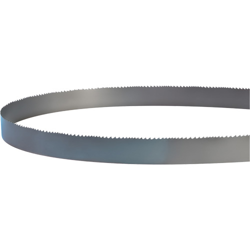 Welded Bandsaw Blade, Bi-Metal, 14' L x 1" W x 4 - 6 TPI Helyx Safety & Industrial Supplies