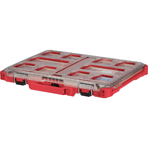 Organisateur profil&eacute; Packout, 19-3/4" x 16-2/5" x 2-1/2", Noir/Rouge Helyx Safety & Industrial Supplies