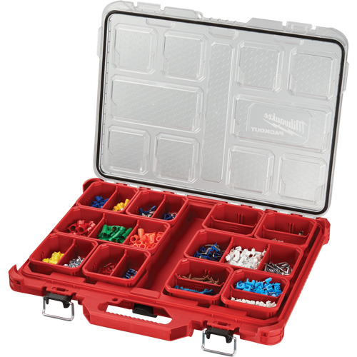 Organisateur profil&eacute; Packout, 19-3/4" x 16-2/5" x 2-1/2", Noir/Rouge Helyx Safety & Industrial Supplies