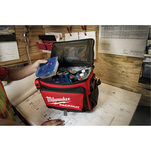 Glaci&egrave;re Packout, 20,5 L Capacit&eacute; Helyx Safety & Industrial Supplies