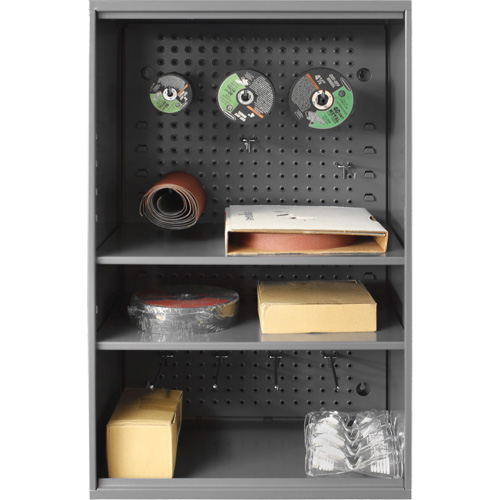 Armoire d'entreposage de produits abrasifs avec panneau perfor&eacute;, Acier, 19-7/8" x 14-1/4" x 32-3/4", Gris Helyx Safety & Industrial Supplies