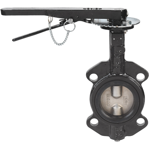 Robinets &agrave; papillon - s&eacute;rie BFV, Tuyau de 3", 225 PSI Helyx Safety & Industrial Supplies