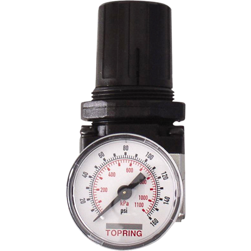 Regulators, 3/8" NPT, 150 PSI Max. PSI, Modular Helyx Safety & Industrial Supplies
