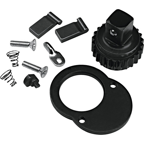 Ratchet Repair Kit Helyx Safety & Industrial Supplies