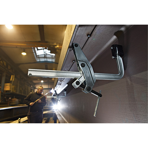 Serre-joint &agrave; pince Helyx Safety & Industrial Supplies