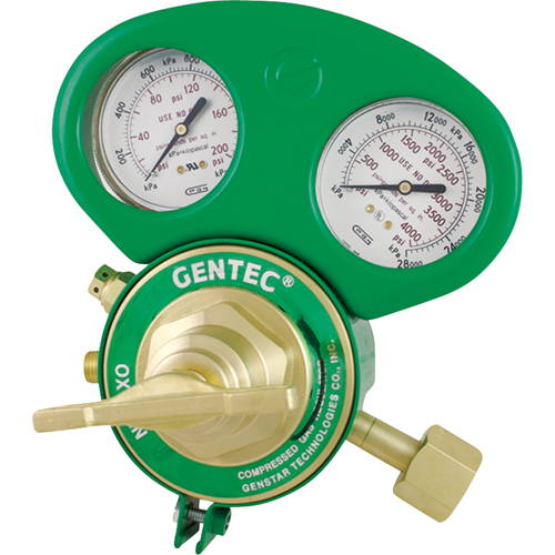 153 Series - Gauge Protectors Helyx Safety & Industrial Supplies