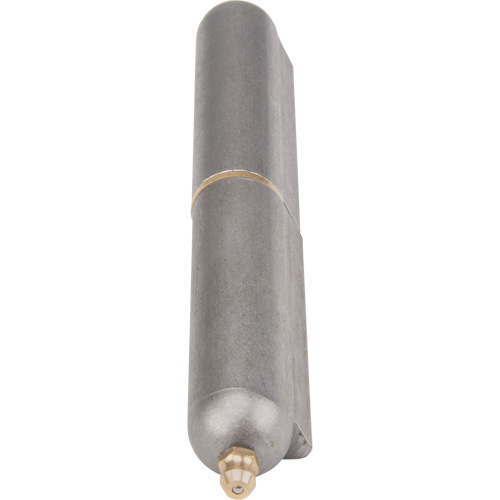 Weld-On Hinge, 0.787" Dia. x 5.906" L, Mild Steel w/Fixed Steel Pin Helyx Safety & Industrial Supplies