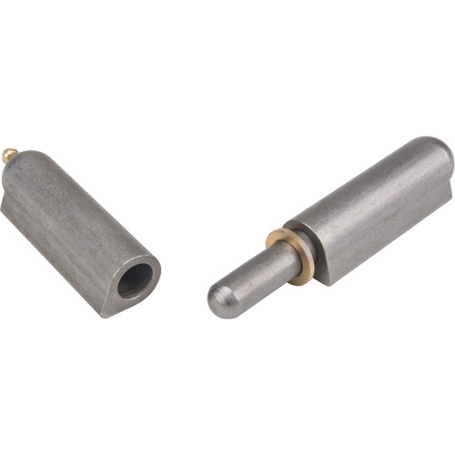 Weld-On Hinge, 0.787" Dia. x 5.906" L, Mild Steel w/Fixed Steel Pin Helyx Safety & Industrial Supplies