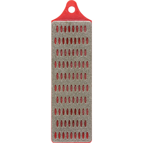 Lime diamant&eacute;e avec dents au carbure Big Hawg, Plat, 3-3/4", Lisse Helyx Safety & Industrial Supplies