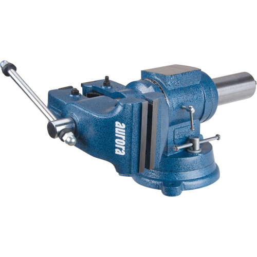 Multi-Purpose Bench Vise, 5" Jaw Width, 3-1/10" Throat Depth Helyx Safety & Industrial Supplies