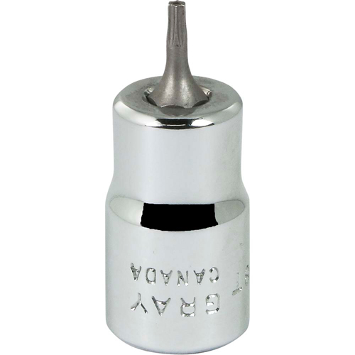 Bit Socket, Torx&reg;, T8 x 2-1/8" L, 3/8" Drive Helyx Safety & Industrial Supplies