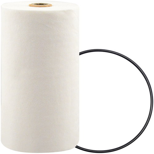 P7247 Spin-On Coolant Filter with BTE Formula Helyx Safety & Industrial Supplies