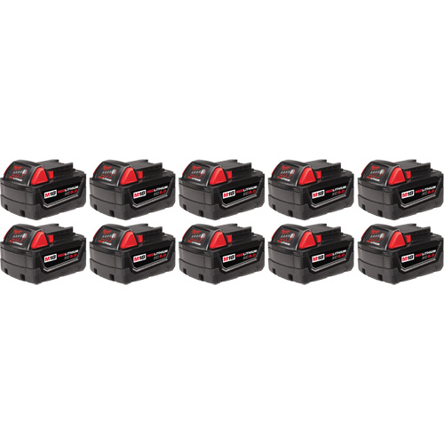 Bloc-piles M18 Redlithium, Lithium-ion, 18 V, 5 Ah Helyx Safety & Industrial Supplies