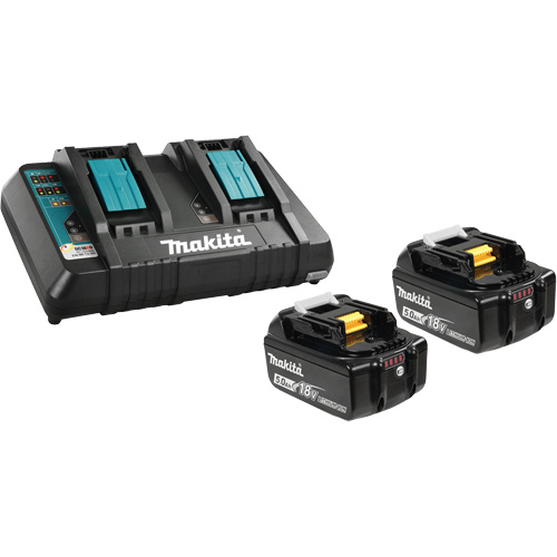Ensemble de batterie au lithium-ion & chargeur &agrave; double port, 18 V, Lithium-ion Helyx Safety & Industrial Supplies