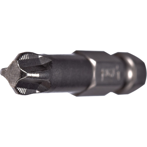 ACR&reg; Power Bit, Phillips, #2 Tip, 1/4" Drive Size, 2" Length Helyx Safety & Industrial Supplies
