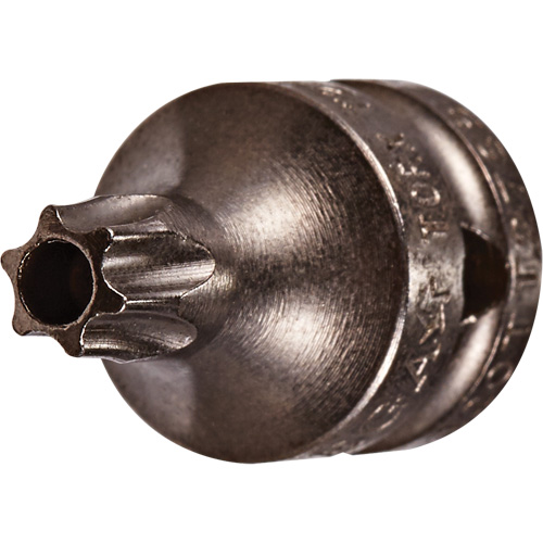 Embout &agrave; ins&eacute;rer, Torx inviolable, 8 x 3/4" lo, Prise 1/4" Helyx Safety & Industrial Supplies