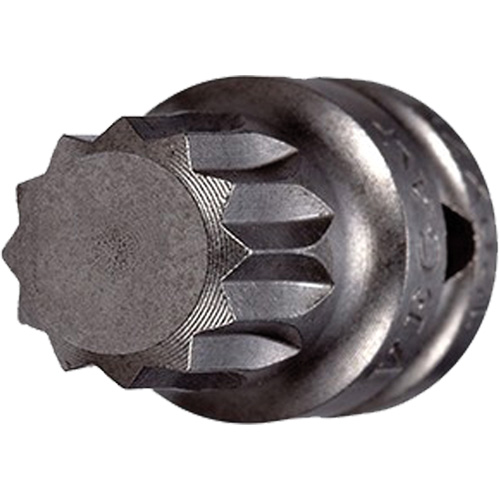 Socket Bit, Triple Square, 5 x 3/4" L, 1/4" Drive Helyx Safety & Industrial Supplies