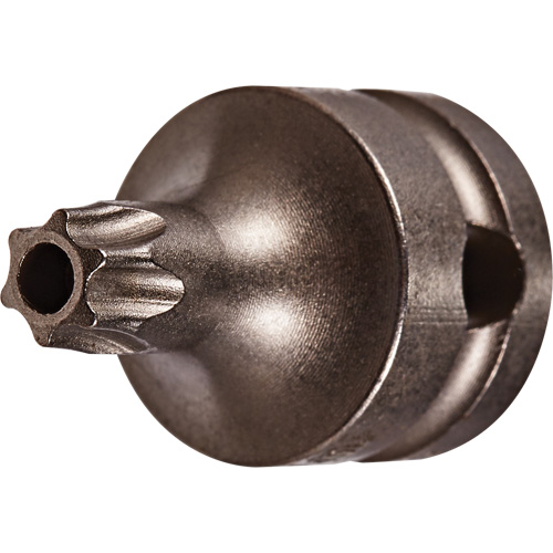 Embout &agrave; ins&eacute;rer, Torx inviolable, 25 x 1" lo, Prise 3/8" Helyx Safety & Industrial Supplies