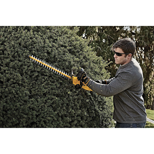 Taille-haie sans fil Max, 22", 20 V, &agrave; pile Helyx Safety & Industrial Supplies