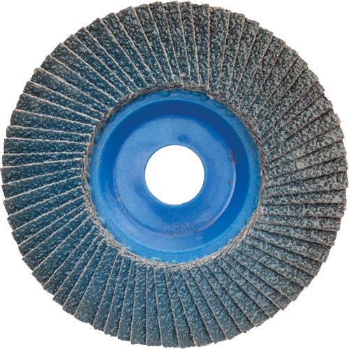 Disque &agrave; lamelles &agrave; grain grossier BlueFire, 5" x 7/8", Type 27, Grain 60, Alumine de zirconium Helyx Safety & Industrial Supplies