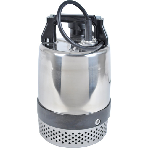 Pompe utilitaire s&eacute;rie FLS/FS, 1 CV, 80 gal./min, 115 V, 10 A Helyx Safety & Industrial Supplies