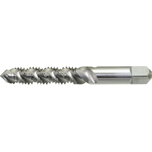 DRILLCO Spiral Flute Hand Tap, High Speed Steel, 1/4"-20 Thread Helyx Safety & Industrial Supplies