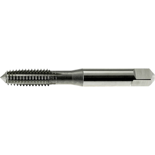 DRILLCO Thread Forming Tap, High Speed Steel, 1/4"-20 Thread Helyx Safety & Industrial Supplies