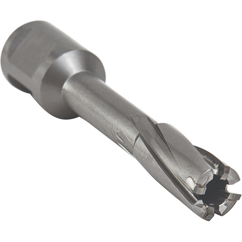 Core Cut Annular Cutter with Weldon Shank, 12 mm Diameter, Carbide, 55 mm Depth of Cut, 3/4" Shank Helyx Safety & Industrial Supplies