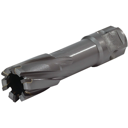 Universal Shank Annular Cutter, 24 mm Diameter, Carbide, 55 mm Depth of Cut, 3/4" Shank Helyx Safety & Industrial Supplies