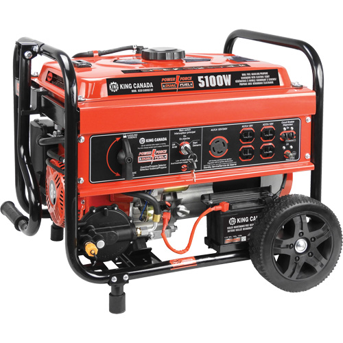 Gasoline/Propane Generator with Electric Start Helyx Safety & Industrial Supplies
