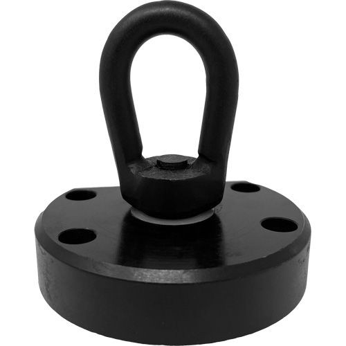 Adaptateur de cosse verticale pour aimants en terre rare Advantage Lift Helyx Safety & Industrial Supplies