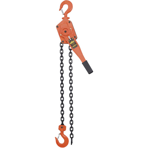 Palans &agrave; chaîne s&eacute;rie VLP, Lev&eacute;e 5', Cabacit&eacute; 6000 lb (3 tonnes), Chaîne en Acier Helyx Safety & Industrial Supplies
