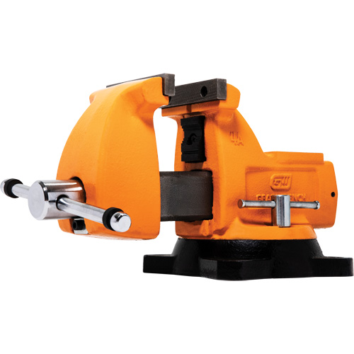 Mechanic's Bench Vise with Anvil, 4" Jaw Width Helyx Safety & Industrial Supplies