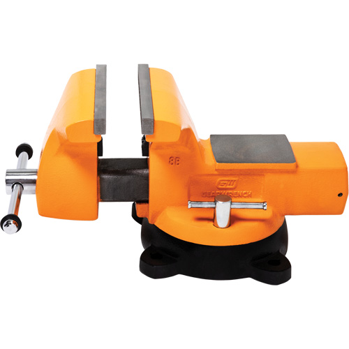 Mechanic's Bench Vise with Anvil, 8" Jaw Width Helyx Safety & Industrial Supplies