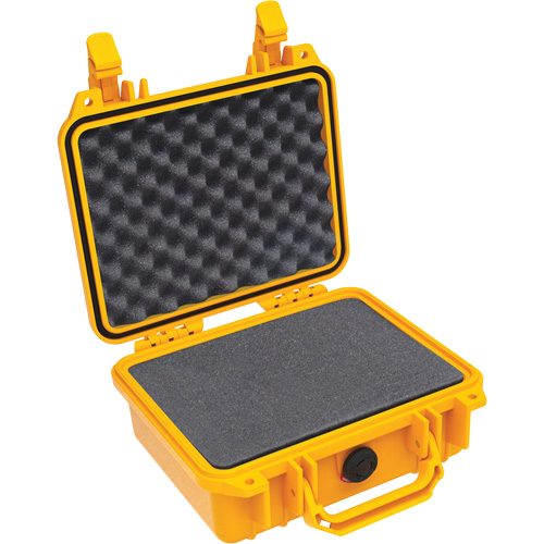 1200 Protector Case with Foam Helyx Safety & Industrial Supplies