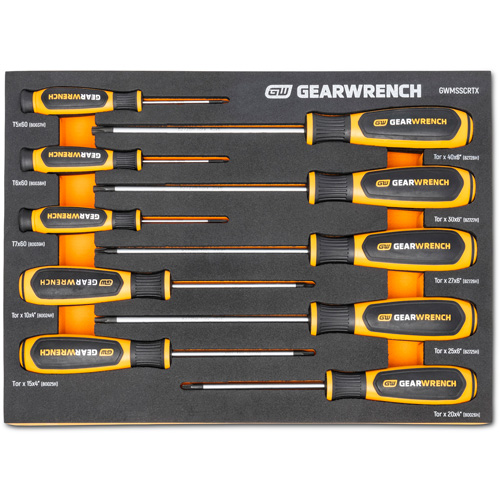 Jeu de tournevis bimat&eacute;riau Torx dans un plateau de rangement en mousse, 10 mcx Helyx Safety & Industrial Supplies