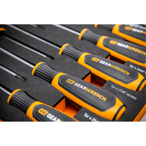 Jeu de tournevis bimat&eacute;riau Torx dans un plateau de rangement en mousse, 10 mcx Helyx Safety & Industrial Supplies