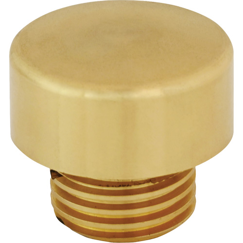 Pointe d emarteau de rechange pour marteau sans rebond Helyx Safety & Industrial Supplies