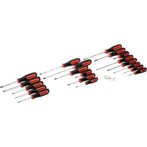 Dual Material Screwdriver Set, 20 Pcs. Helyx Safety & Industrial Supplies
