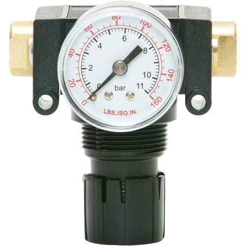 D&eacute;tendeur &agrave; piston en ac&eacute;tal MODULAIR 200, 1/4" NPT, PSI max. de 150 psi, Canalisation/Modulaire Helyx Safety & Industrial Supplies