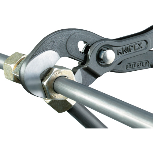 Pince Raptor, 10" Helyx Safety & Industrial Supplies