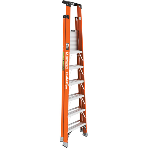 Safespace Platform Step Ladder, 6', 300 lbs. Cap. Helyx Safety & Industrial Supplies