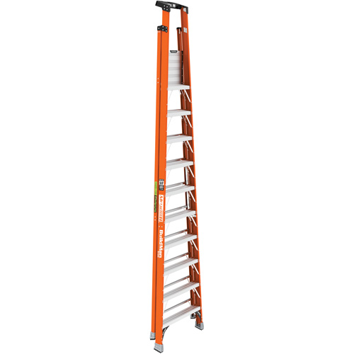 Escabeau avec plateforme Safespace, 10', Cap. De 300 lb Helyx Safety & Industrial Supplies